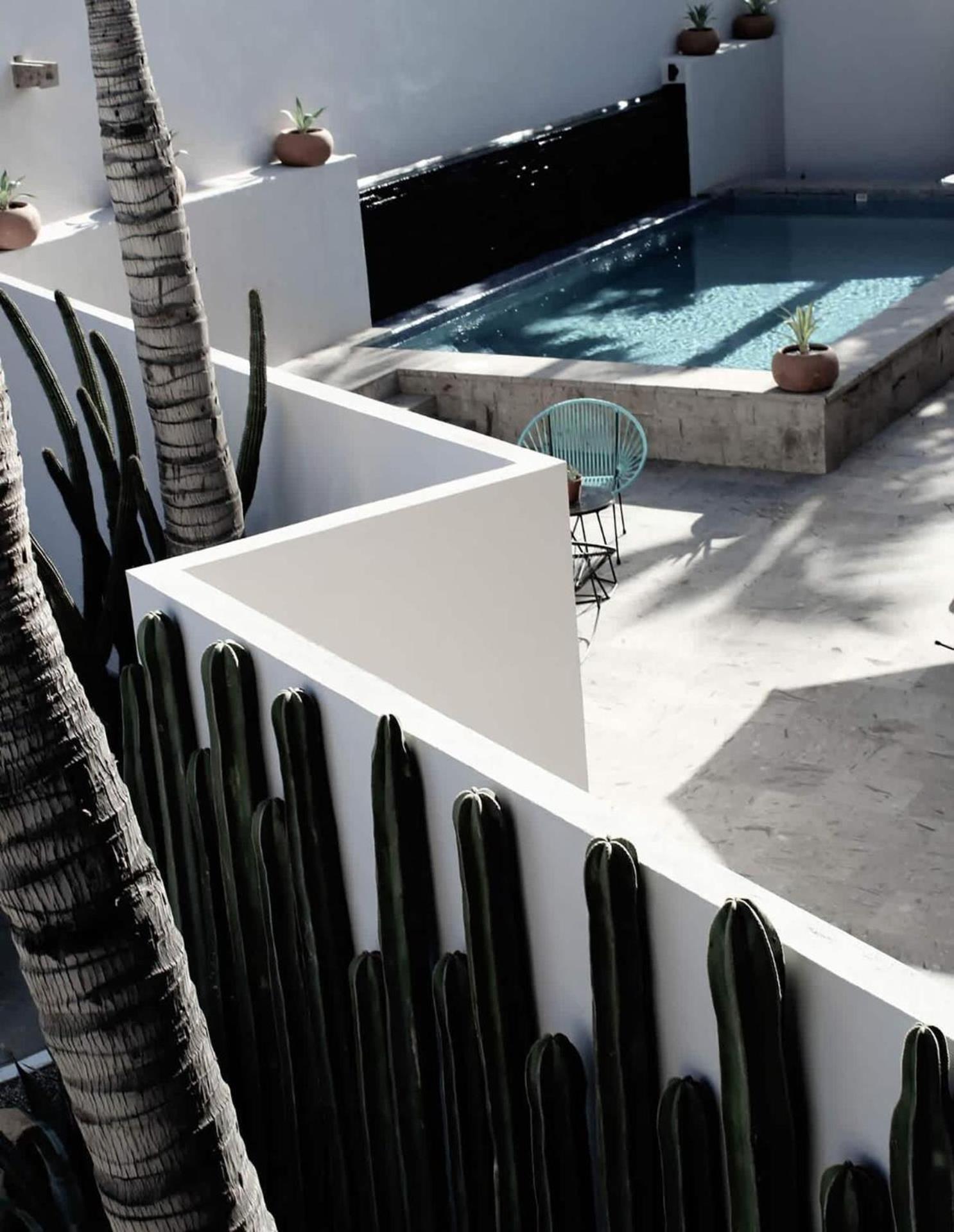 Super Master Suite Room In Exclusive Boutique Hotel San José del Cabo Екстериор снимка